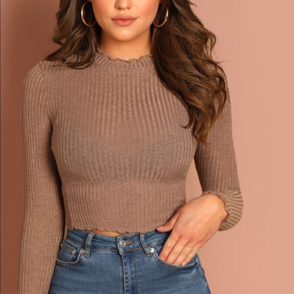 Shein Ribbed Semi-Sheer Crop Top
